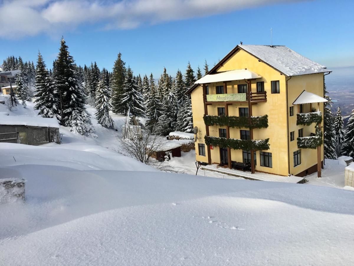 Отель Hotel Muntele Mic Borlova-29