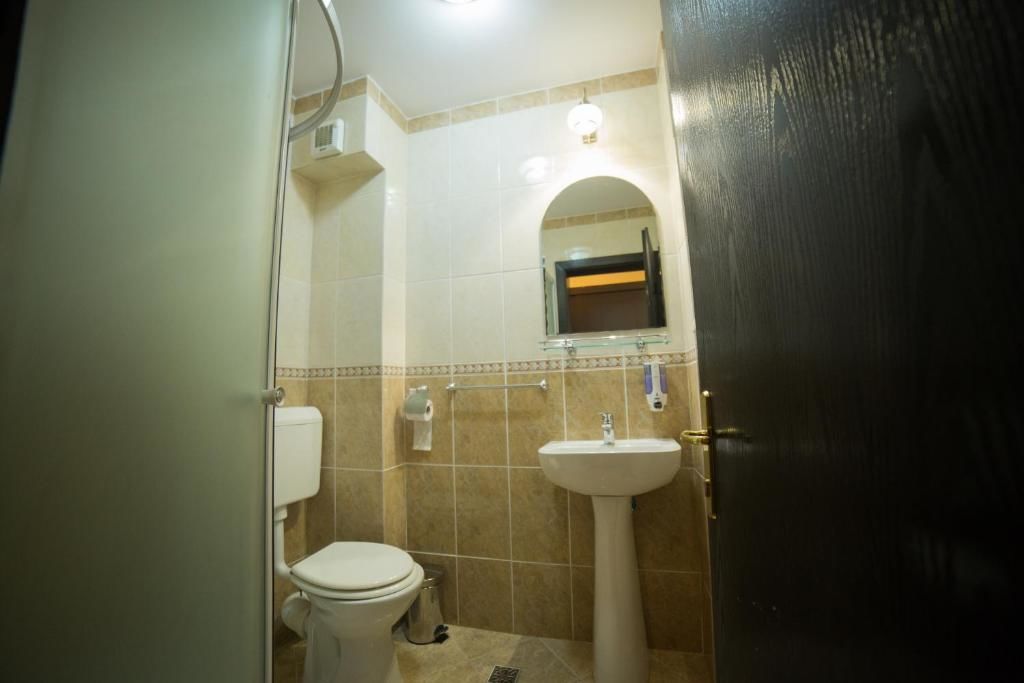 Отель Hotel Muntele Mic Borlova