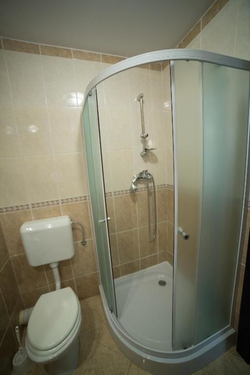 Отель Hotel Muntele Mic Borlova