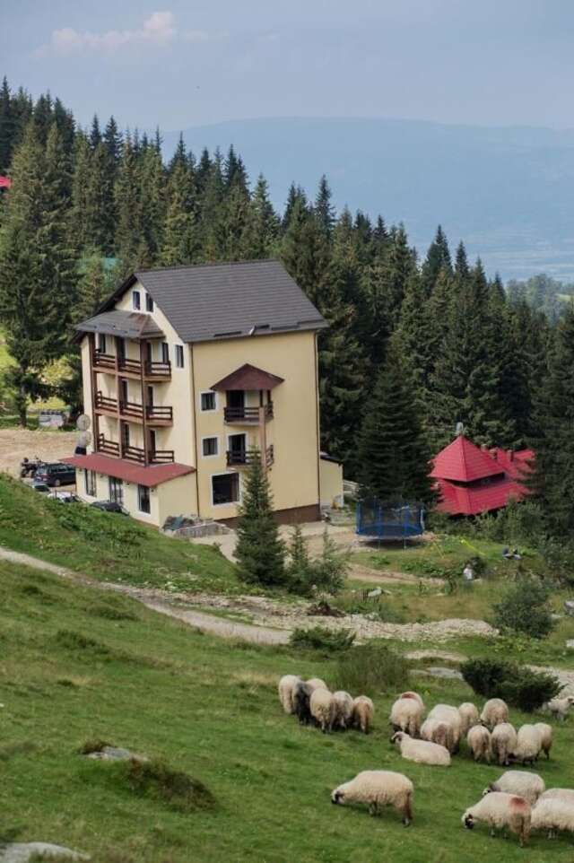 Отель Hotel Muntele Mic Borlova-3